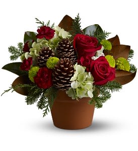Countryside Christmas - Give all the charm of a countryside Christmas this year with a rustic mix of lush red roses amidst chartreuse and burgundy blooms, accented with natural pinecones and magnolia leaves, and tucked in a terra cotta pot. A lovely gesture for the holidays.  A mix of red roses, green button spray chrysanthemums and hydrangea and burgundy carnations – accented with evergreens, pine cones and magnolia leaves – is arranged in a terra cotta pot.  Approximately 13&quot; (W) x 10.5&quot; (H)  Orientation: All-Around  As Shown : TFWEB465