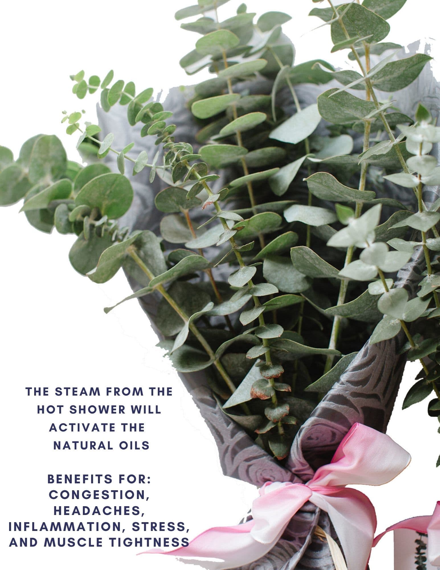 Eucalyptus Shower Bouquet in Westlake Village, CA XO Bloom