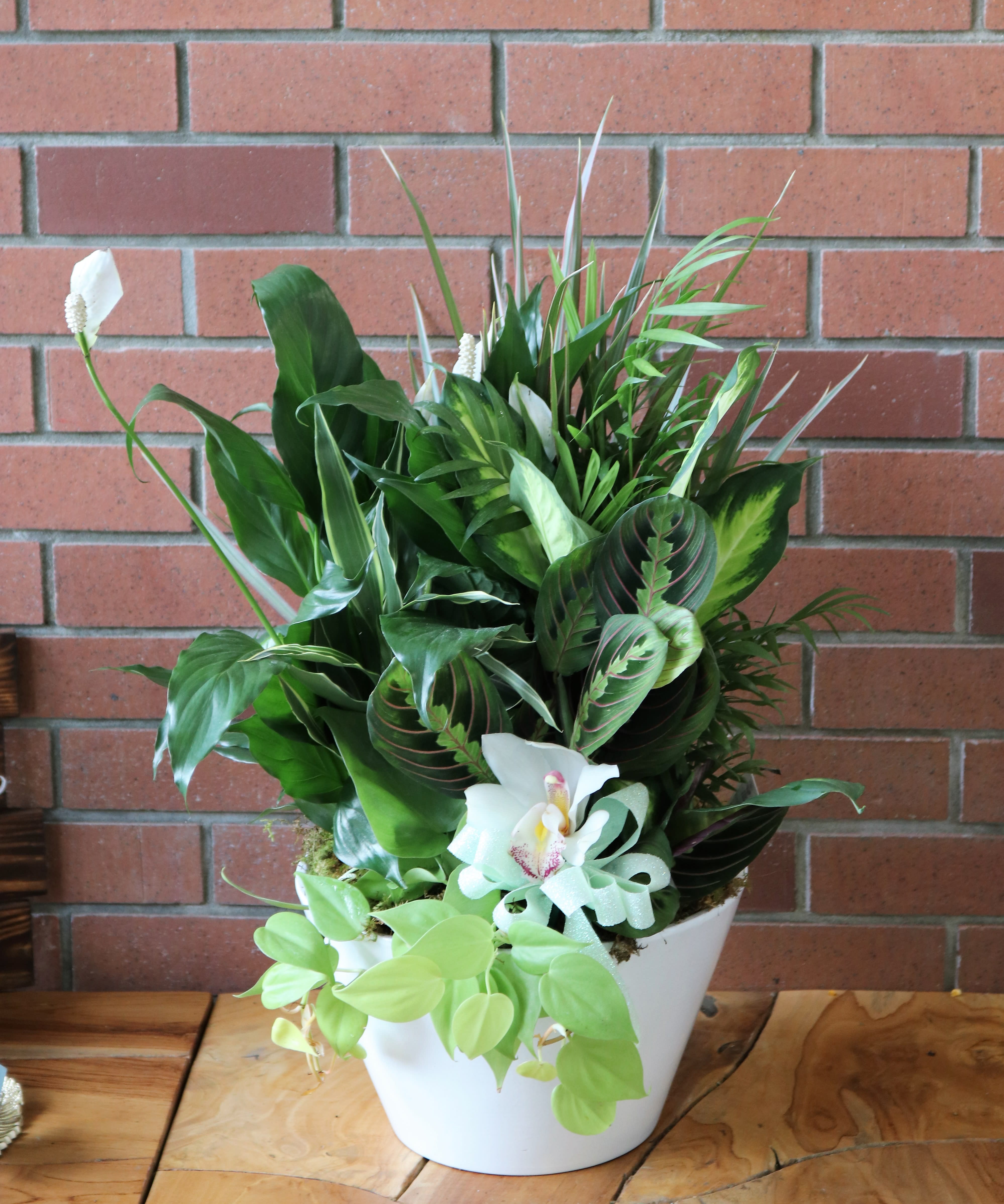 Large Dish Garden Large Dish Garden - Large dish garden full of beautiful varieties of plants in a ceramic pot decorated with a white orhid and a green bow.