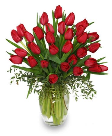 Cherry Red Tulips Bouquet  - Send the message of &quot;Perfection&quot; to that special someone with these Cherry Red Tulips!   Standard is 30 tulips.  Deluxe is 40 tulips.  Premium is 50 tulips. 
