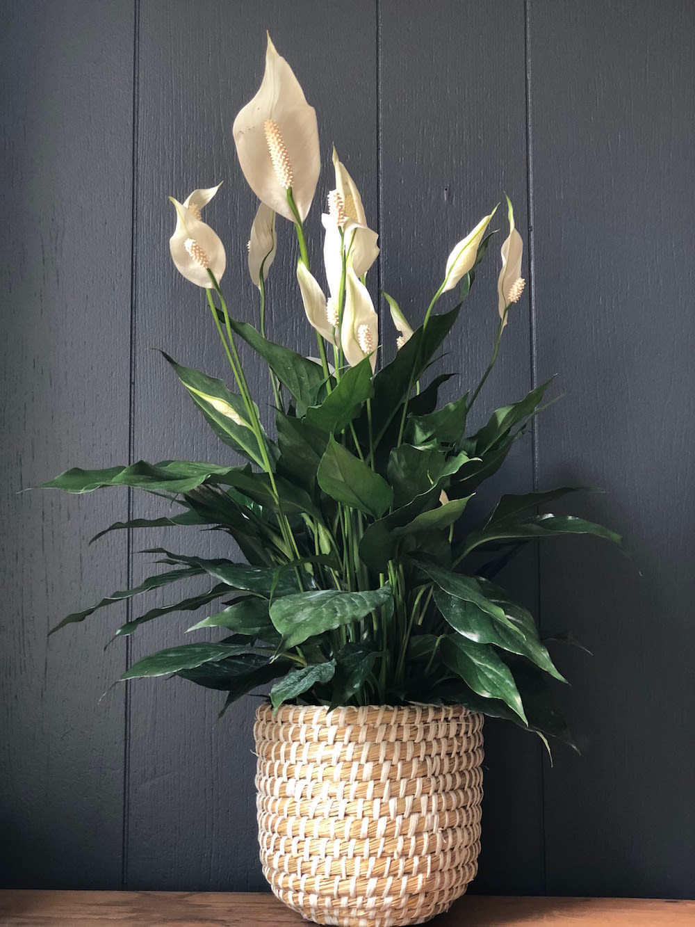 peace lily in tejida basket in Morristown, NJ Colly Flowers