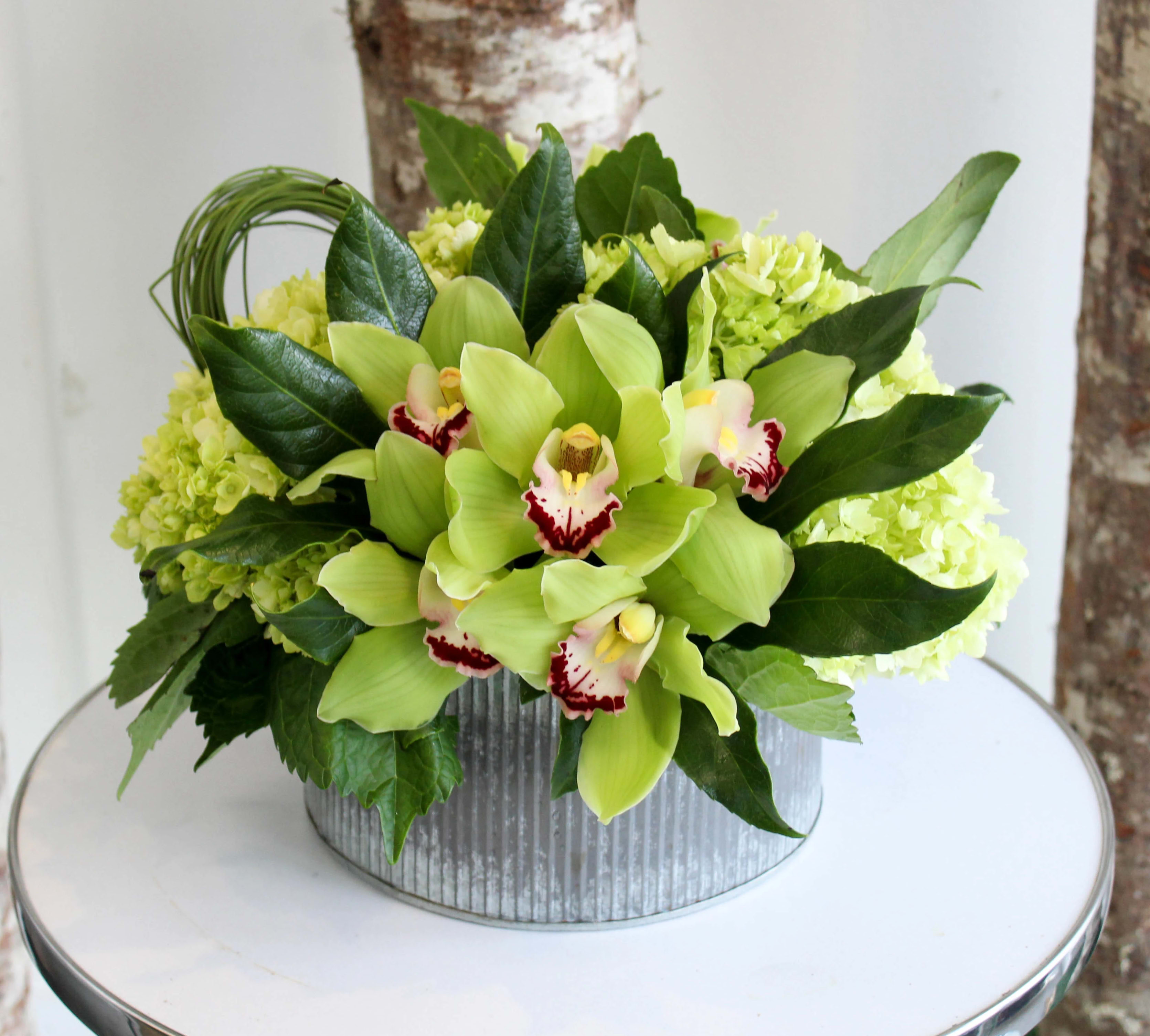 Lucky in Los Angeles, CA Sonny Alexander Flowers