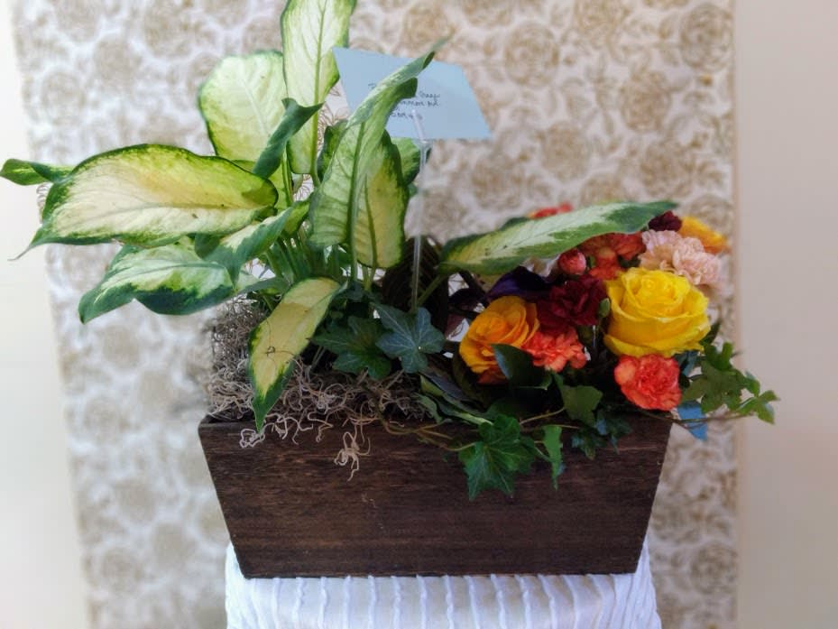 zed combo Florist Fredericksburg Va 22406 Stafford Va Florist Free