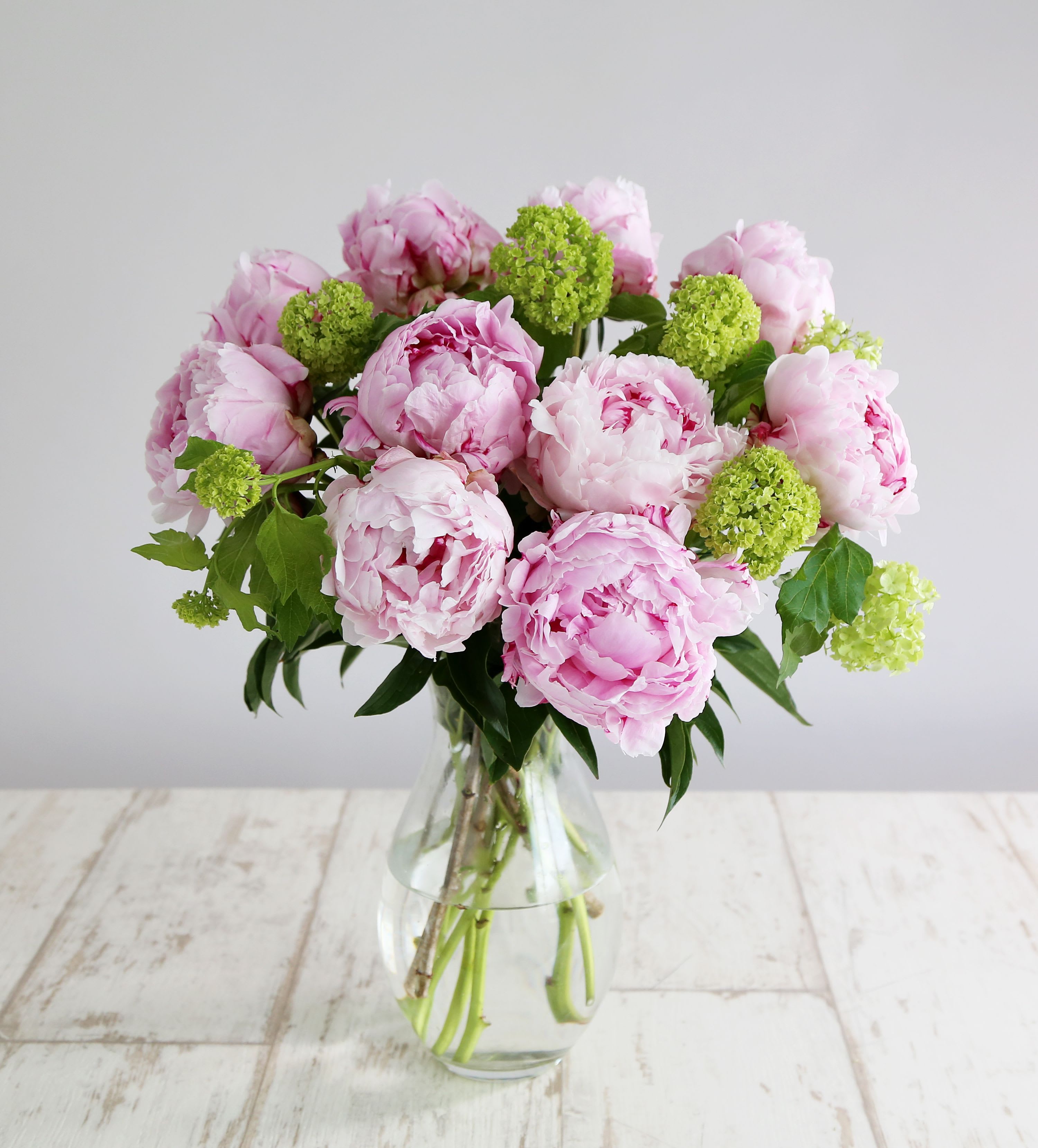 Elegant Peony in Oakland, CA From the Heart Florist