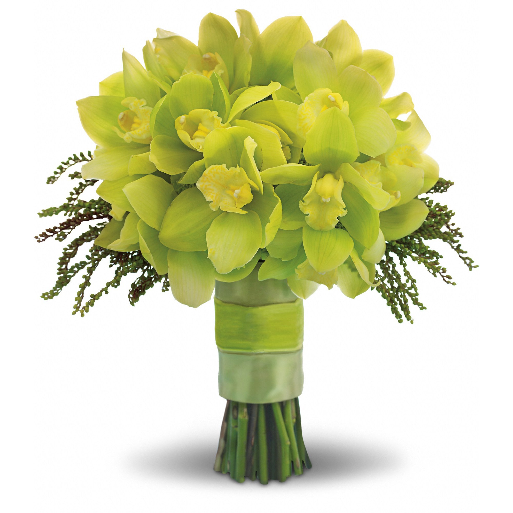Green Glee Bouquet  - Steal the limelight with this chic chartreuse bouquet of cymbidium orchids, hydrangea and delicate pieris japonica.    A stunning green array of cymbidium orchids, hydrangea and pieris japonica.    Approximately 13&quot; W x 14&quot; H    Orientation: N/A        As Shown : T194-8A    