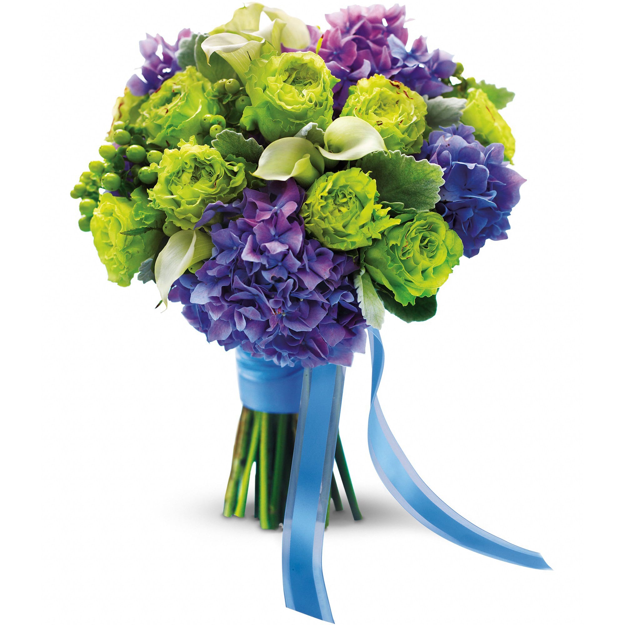 Luxe Lavender and Green Bouquet  - Steal the show with this bright, modern mix of green garden roses, purple hydrangea and mini white callas.    Green roses, purple hydrangea and white miniature callas, all bundled in a blue satin ribbon.    Approximately 13&quot; W x 15 1/2&quot; H    Orientation: N/A        As Shown : T182-2A    
