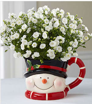 Snowman Surprises Holiday Campanula Plant - The Snowman Surprises Holiday Campanula Plant is a wonderful way to send your warmest season's greetings to friends and family throughout the Christmas season! A simply beautiful campanula plant flaunts tiny clusters of white rose-like blooms amongst lush green foliage to create the perfect winter display. Presented in a fun and fanciful ceramic snowman inspired mug, this gorgeous blooming plant will make your special recipient's holiday season both merry and bright. Measures 4.5-inches in diameter. Your purchase includes a complimentary personalized gift message.