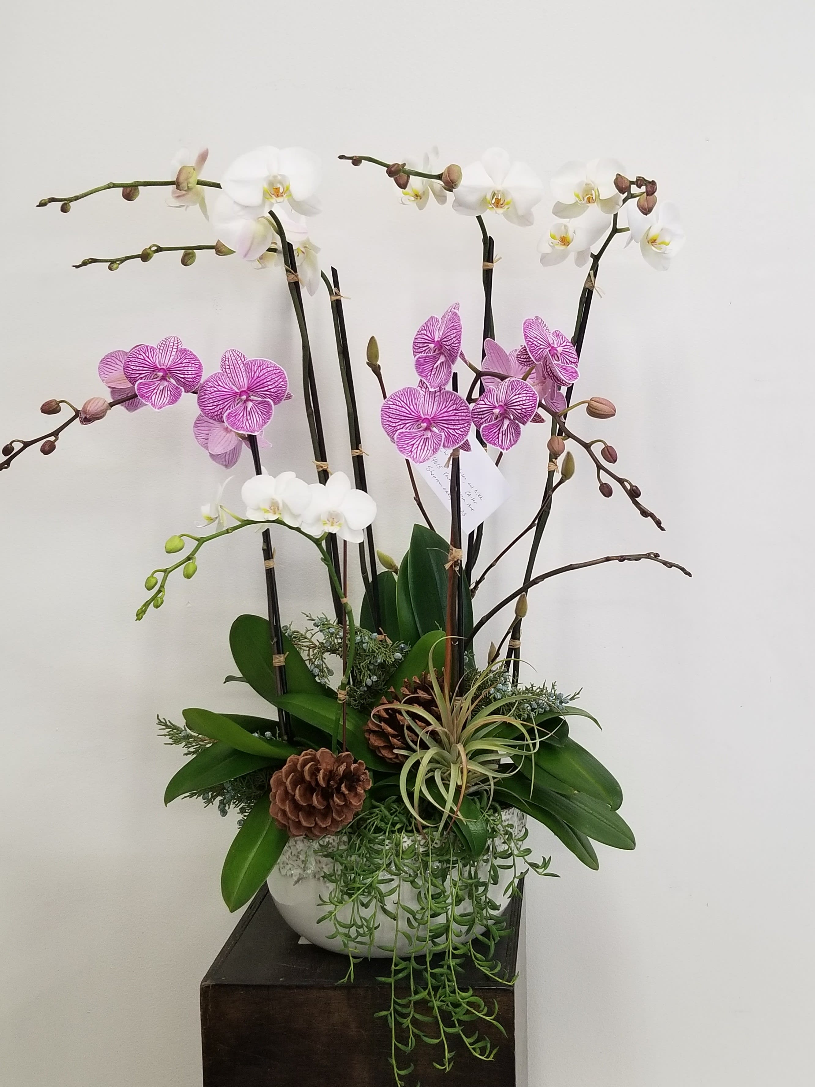 Zen Orchid Garden in Santa Monica, CA Dellarobbia Design Studio