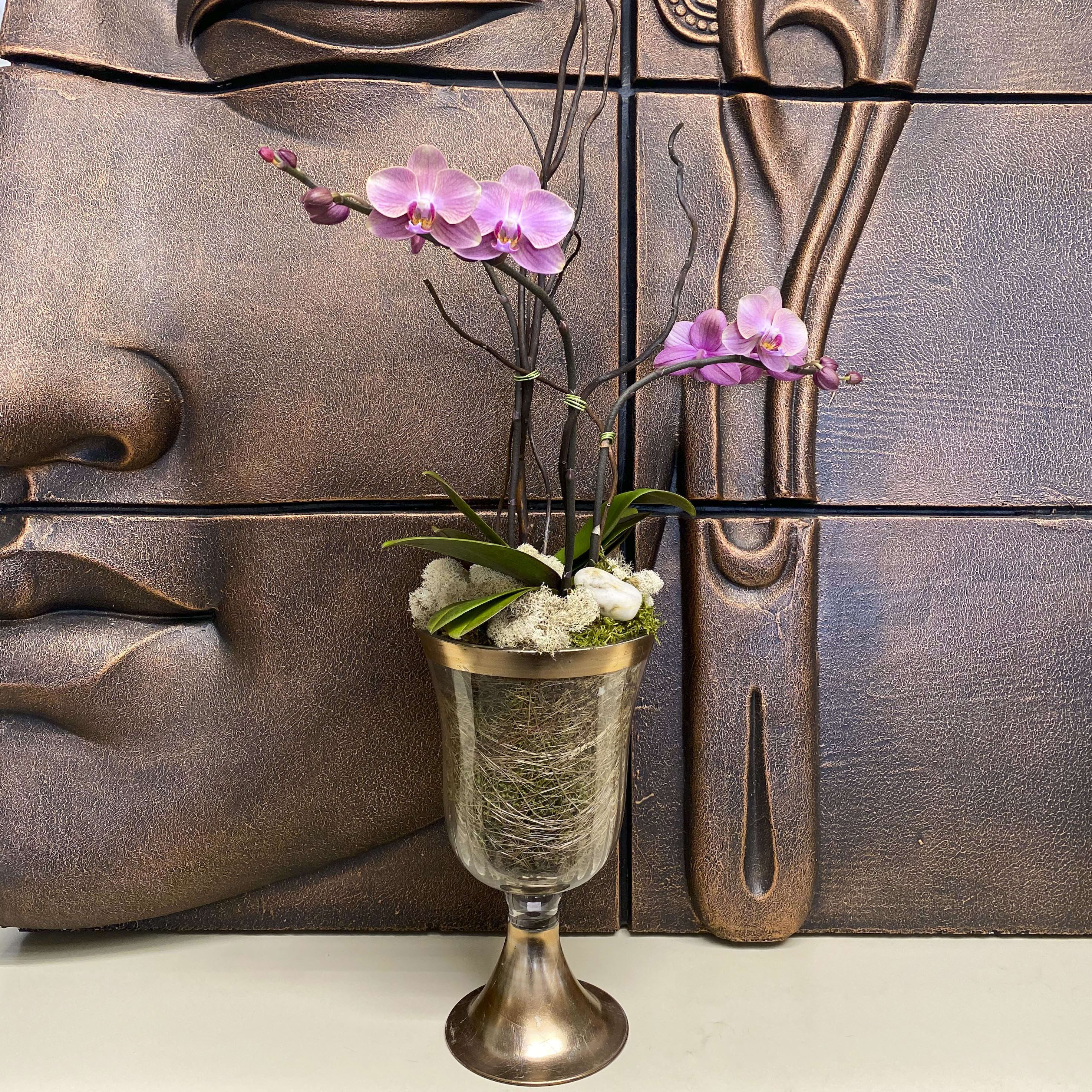 Classic Orchid By Wholesale Flowers