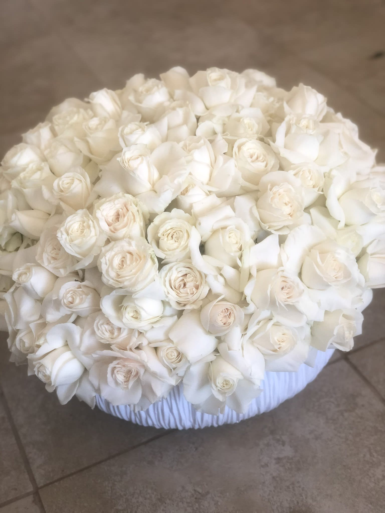 White heaven in Glendale, CA Farabela's Touch