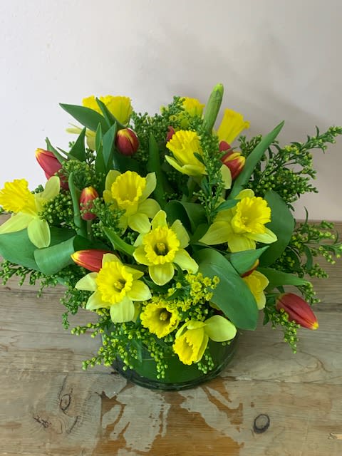 Yellow Daffodils And Tulips W833 By Fillmore Florist San Francisco Florists and flower shops in san francisco, california (ca). yellow daffodils and tulips w833 by fillmore florist san francisco