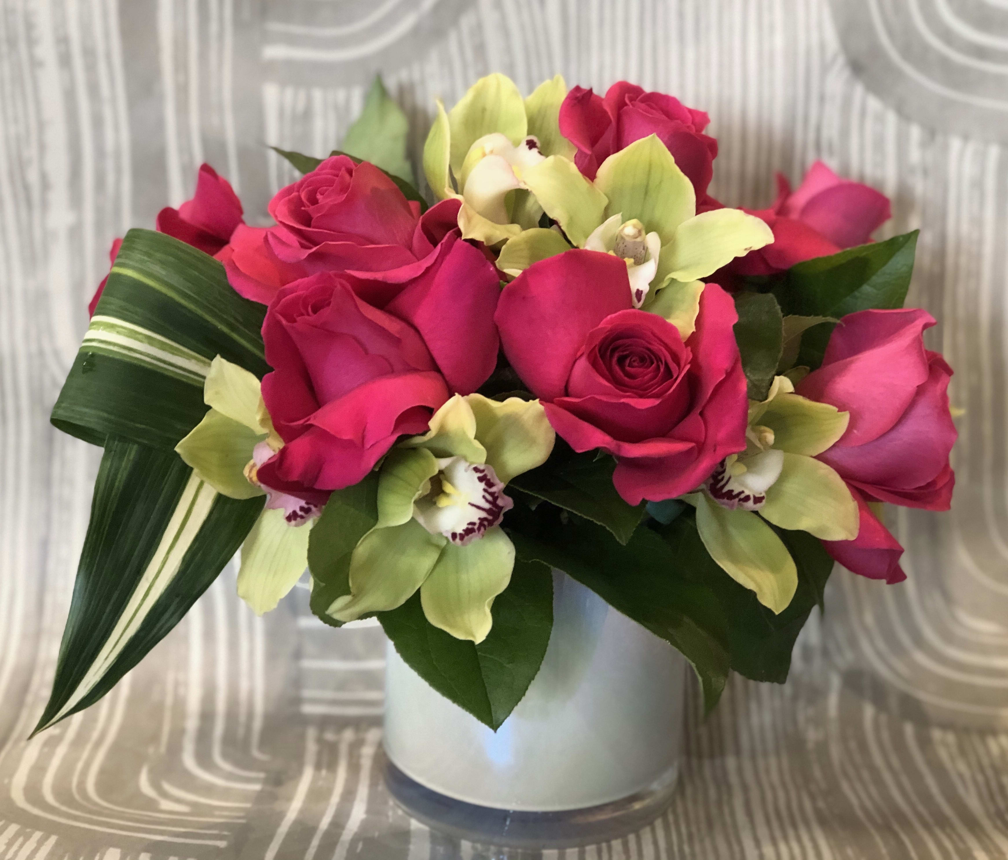 Aurora In Manhattan Beach Ca Growing Wild