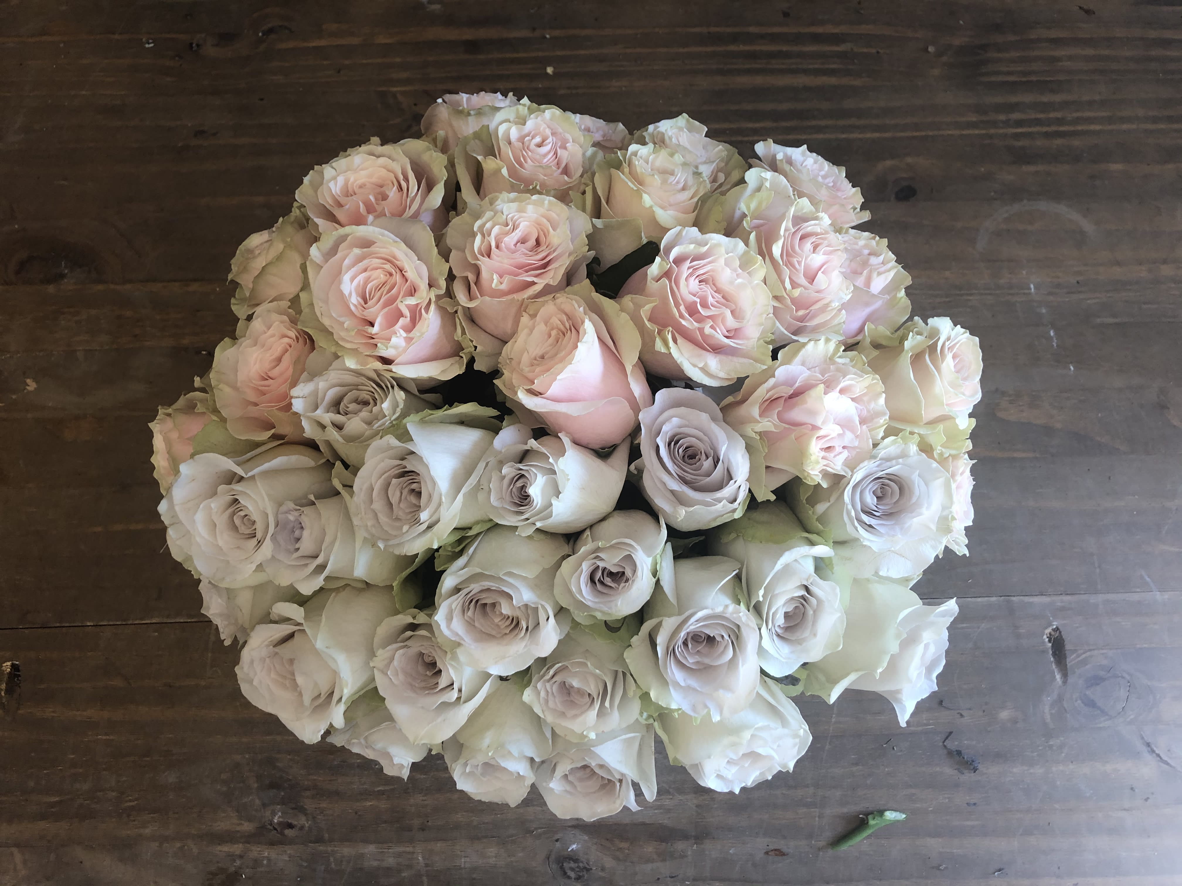 Pink And Grey Valentine 50 Roses For Her In Austin Tx Mercedes Flowers Reviews for austin flower delivery. pink and grey valentine 50 roses for her in austin tx mercedes flowers