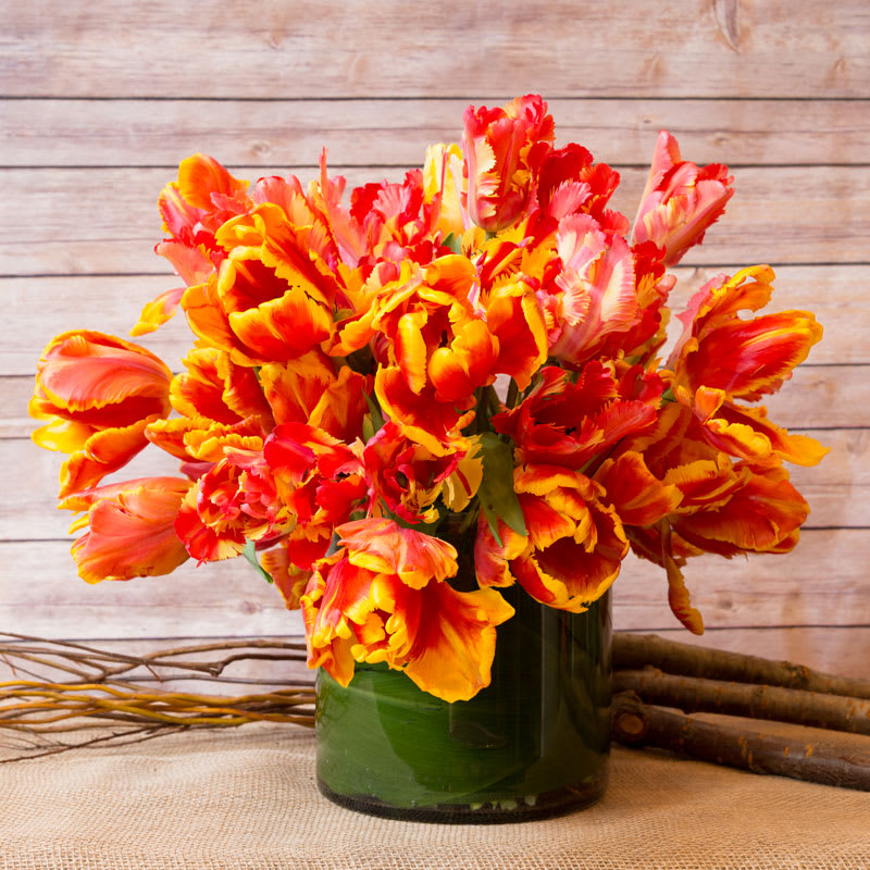 Upper Eastside Parrot Tulips In New York Ny Flowers By Philip