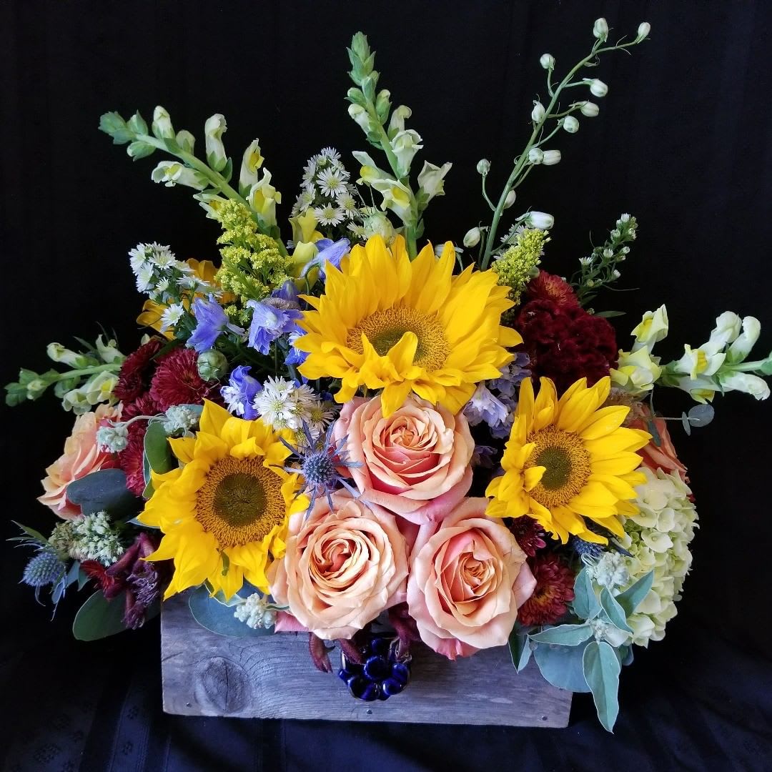 Indigo & Sun in Katy, TX | Passion Flowers