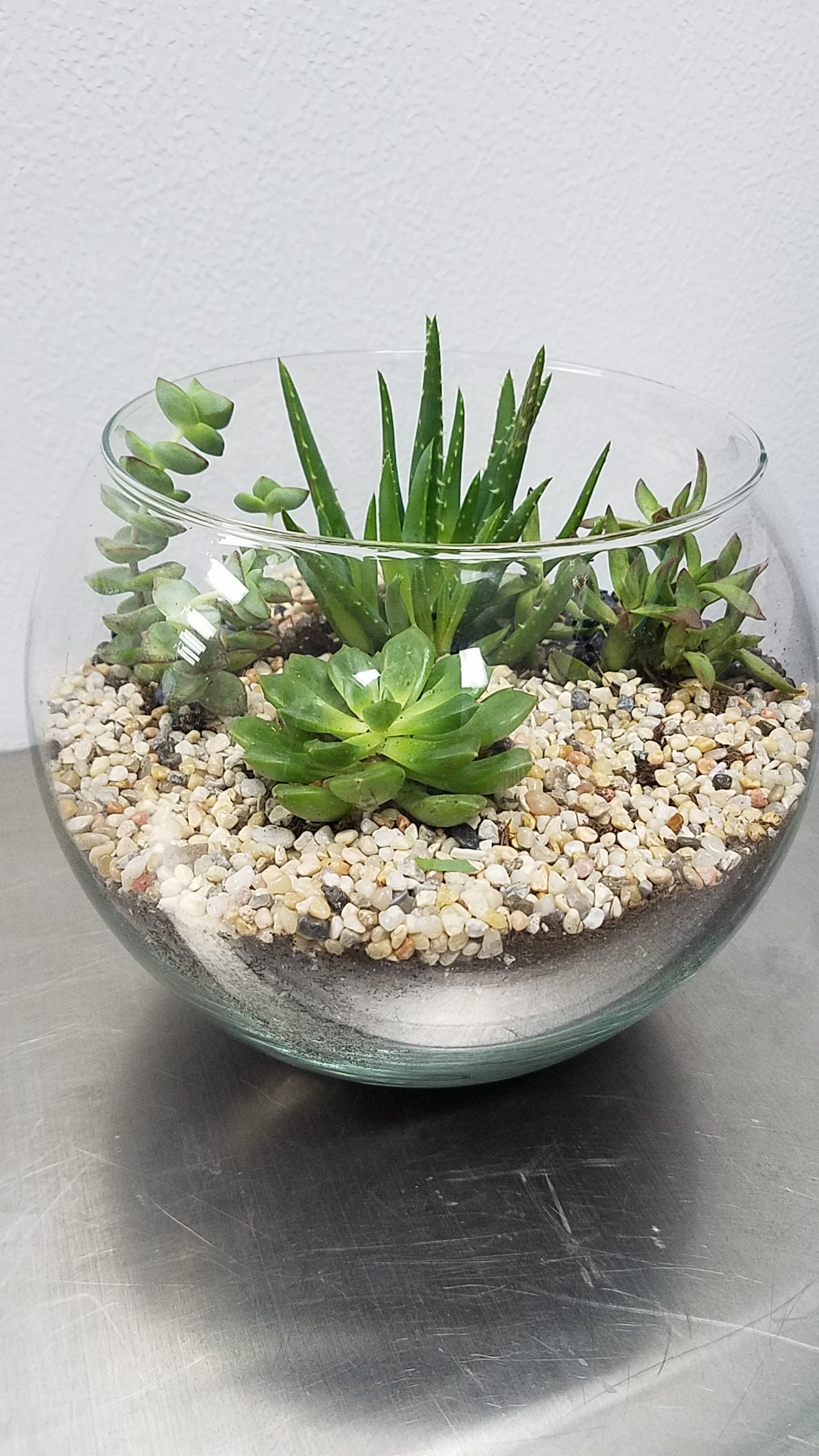 Succulent Bowl Terrarium in Cypress, CA Classics Flowers and Confections