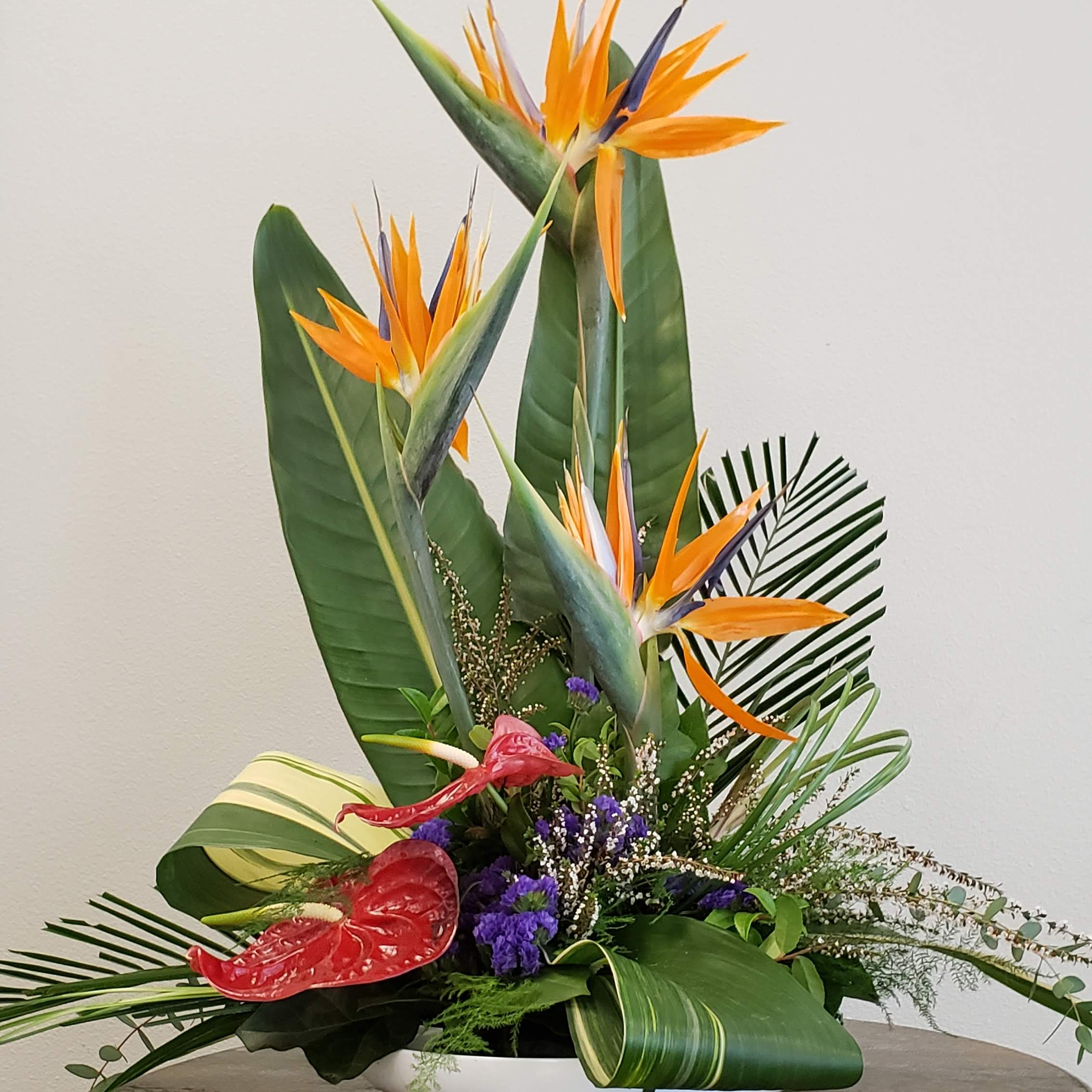 Tropical Day Flower Arrangement In Olympia Wa Specialty Floral Design