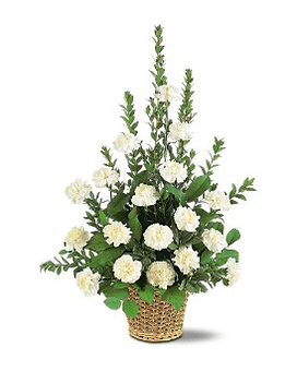 White Simplicity Basket - If you want send your warmest thoughts to show how much you care this lovely arrangement with its white carnations sends your thoughts compassionately. One arrangement with white carnations and decorative foliage is delivered in a natural-textured basket. Approximately 24&quot; W x 34&quot; H Orientation: One-Sided   TF186-3