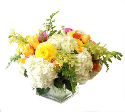 Spring into Summer - - A fluffy and dreamlike floral arrangement of Hydrangeas, ranunculus, roses, tulips in a low vase. Perfect for any dinner party.