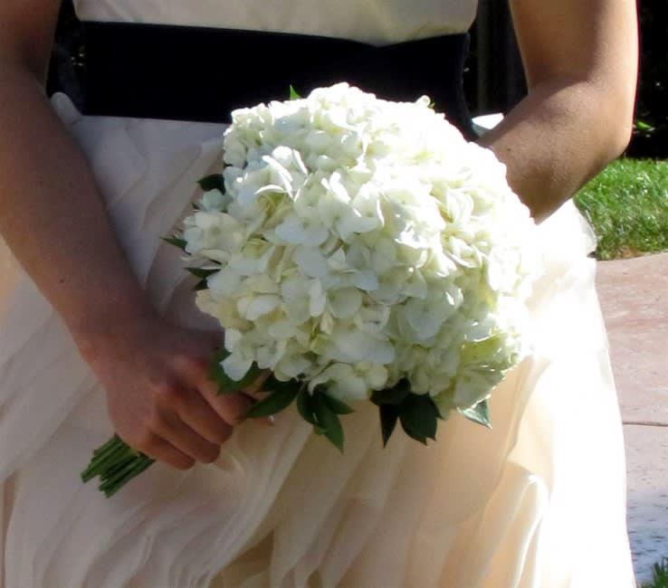 White Hydrangea Wedding Bouquet In San Diego Ca House Of Stemms
