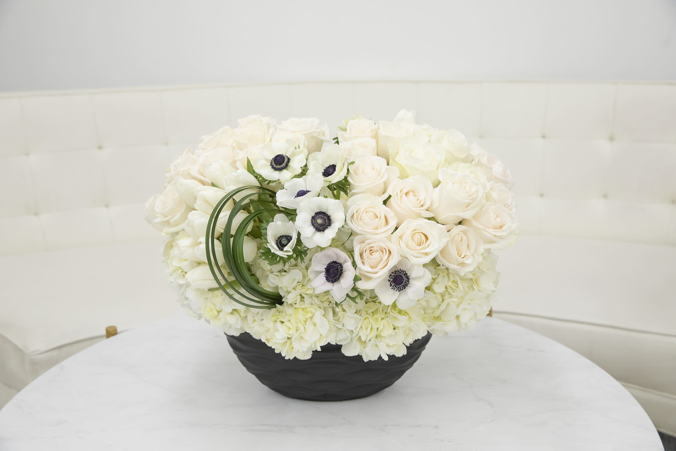Classic White & Black Classic White & Black - All White