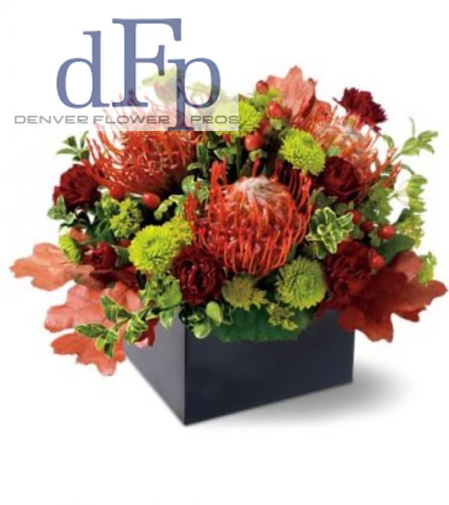 Botanical Protea Arrangement - Mixed Protea and banksia make for an eye catching display. 