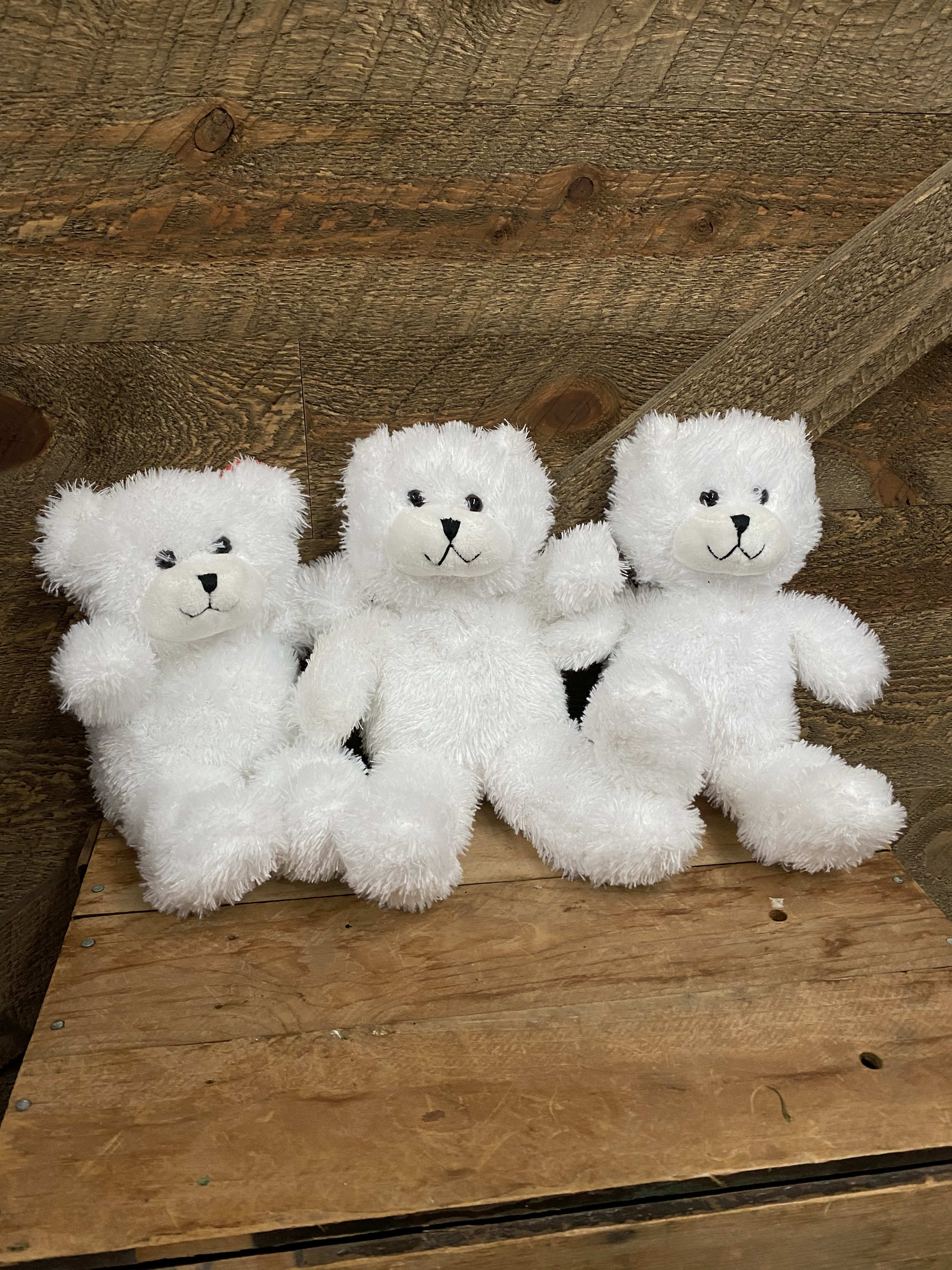 White Stuffed Teddy Bear in Medway, MA Luna's Flower Shop