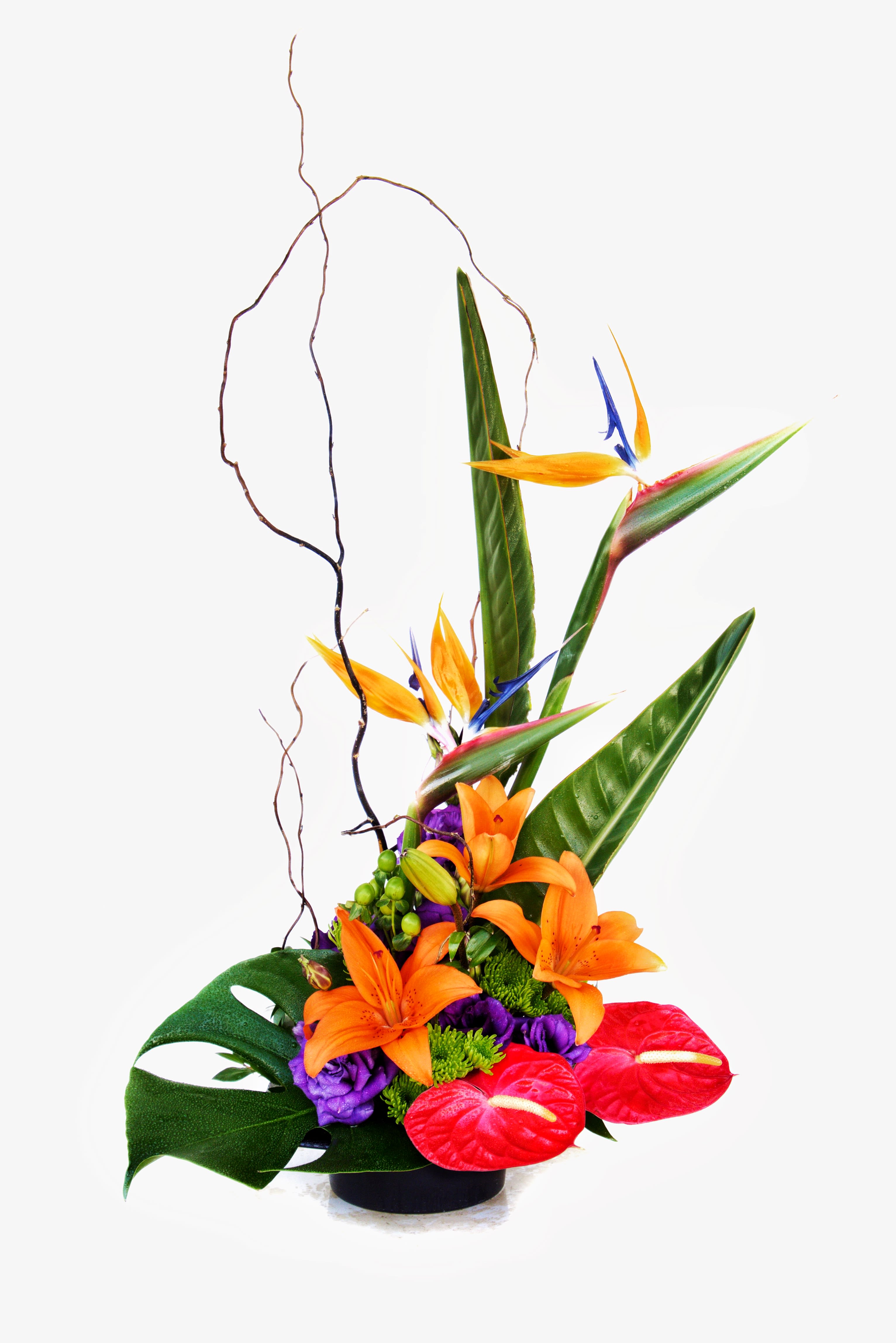 Tropical Fantasy - Tropical design including birds of paradise, anthuriums, lilies, lisianthus and accents.