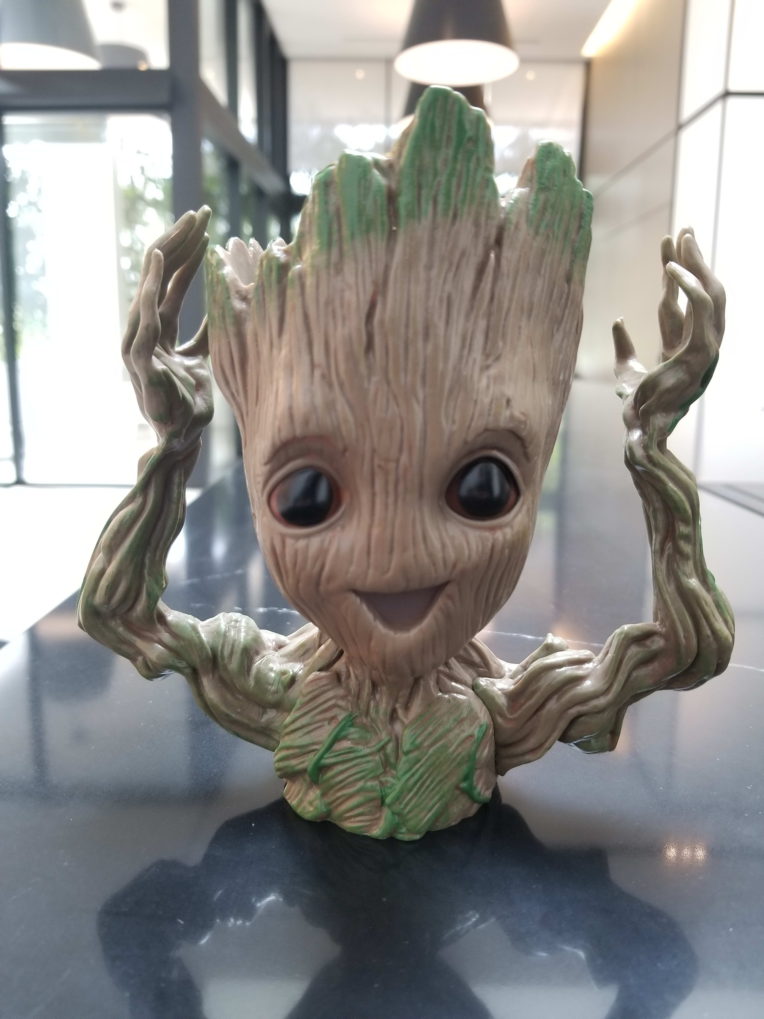 Mais qui est bébé Groot ? – Nature & Zen