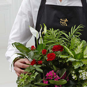 FTD Florist Designed Blooming and Green Plants in a Basket - Can't decide on which plant to send? Let the florist design something special using their most beautiful blooming and green plants in a basket. The combination will make a lovely presentation, appropriate for any occasion!