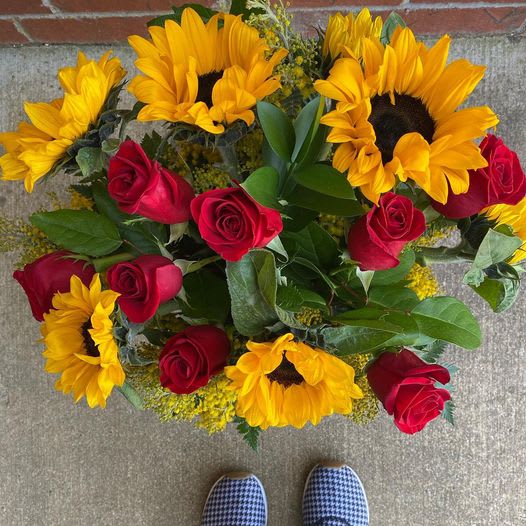 Download Sunflower Love By Yarrow