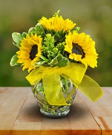 Sweet Sinple Sunflower Sweet Sinple Sunflower - Sunflower Vase