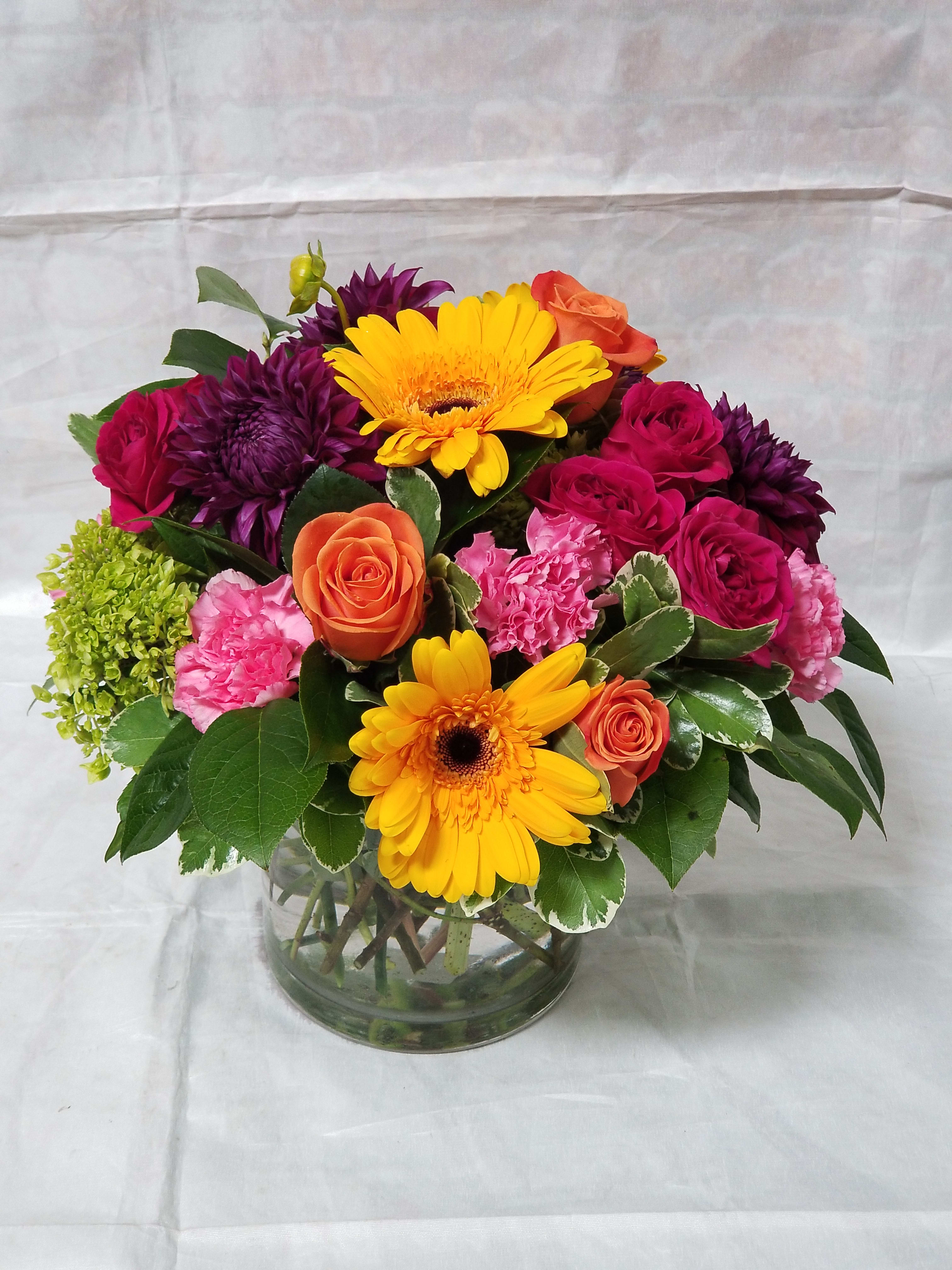 Rainbow Of Blooms In Davis Ca Strelitzia Flower Company