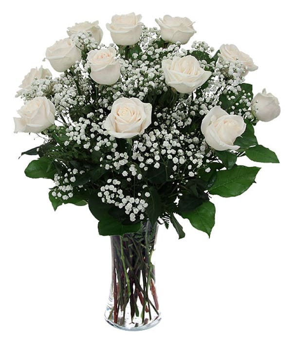 One Dozen White Long Stem Roses in a Vase in Glendale, CA Honey Bee