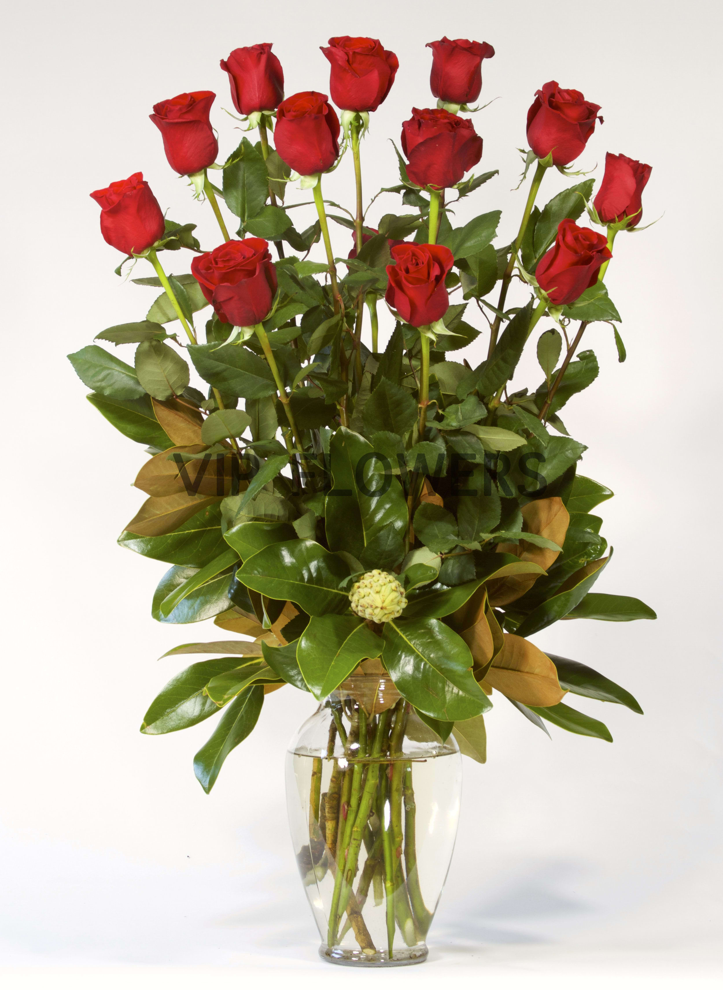 1 Dozen EXTRA long stem Red Roses in PORTLAND, OR VIP Flowers