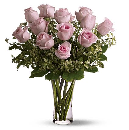 Pink Roses by the Dozen Pink Roses by the Dozen - Symbolizing gentility and elegance, these dozen pink roses, punctuated with fresh greenery, celebrate beauty and innocence. Send them to someone young at heart. A dozen pink roses with variegated pittosporum and salal in a beautiful glass vase. Orientation: All-Around
