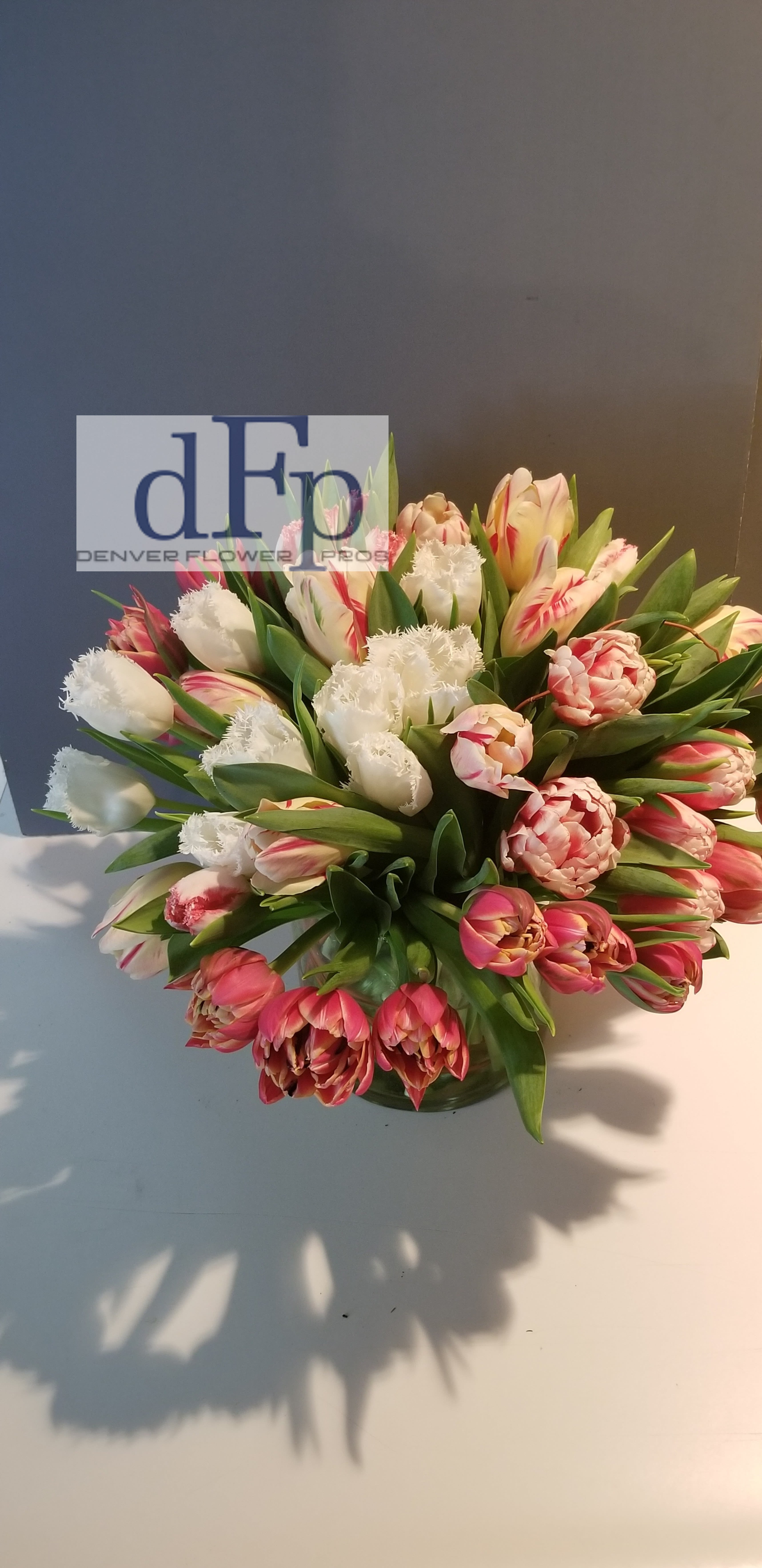 Novelty Tulips with Willows Novelty Tulips with Willows - 50 stems of Novelty tulips make for an impressive display . Tulips are locally sourced if available , otherwise grown in the United States. Colors and varieties might differ, and are subject to seasonal influences.