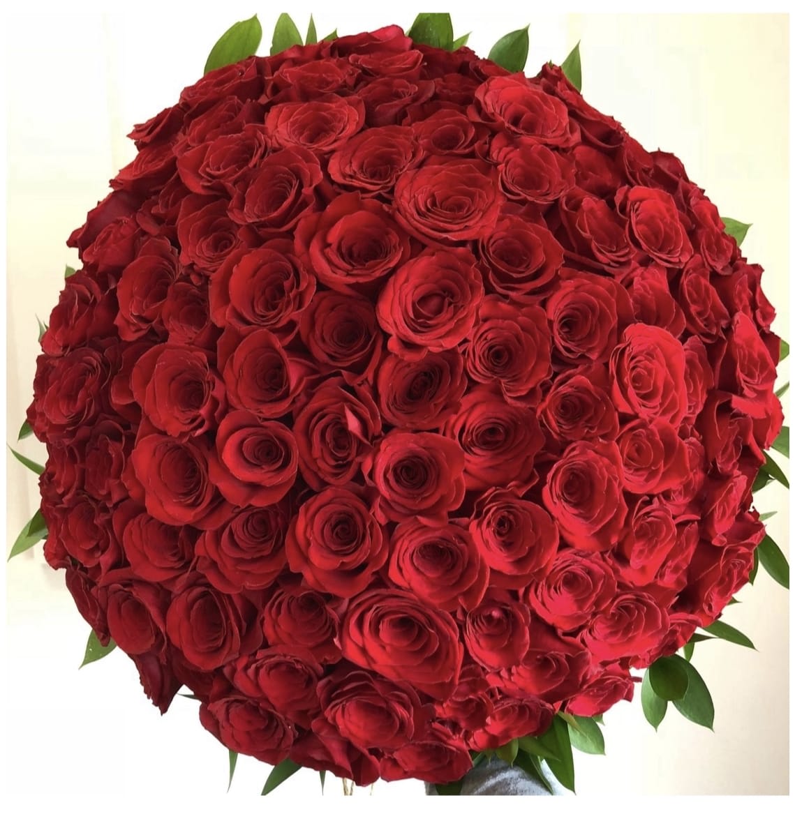 200 roses hand-tide bouquet in Doral, FL | Doral Orchids Florals & Events