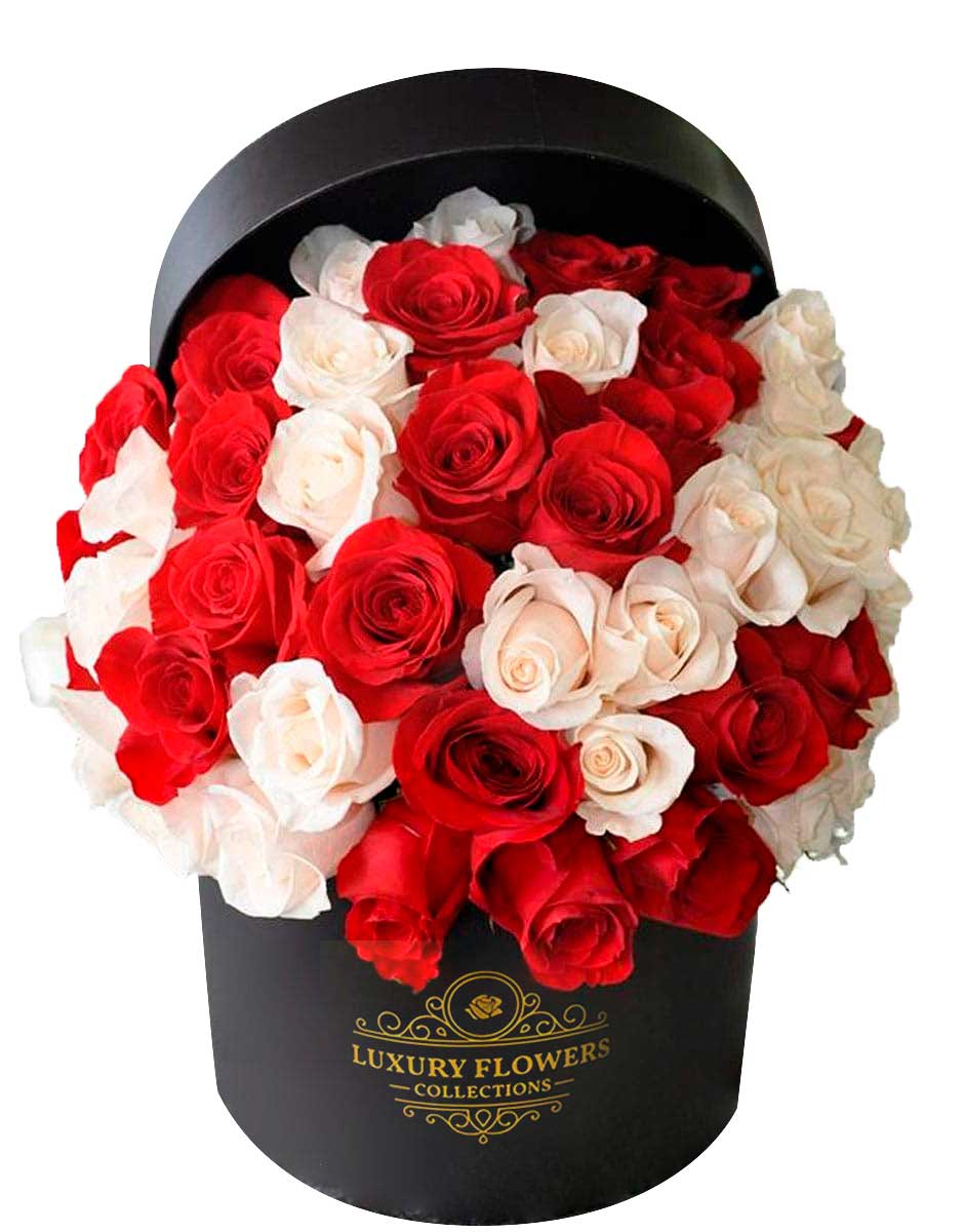 5 dozen Red and white Roses in Round box in Compton, CA | Compton ...