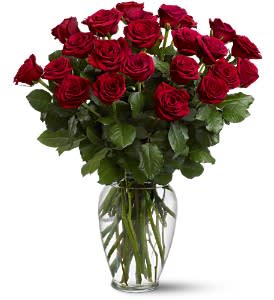24 Red Roses By Kyle Flower Shop