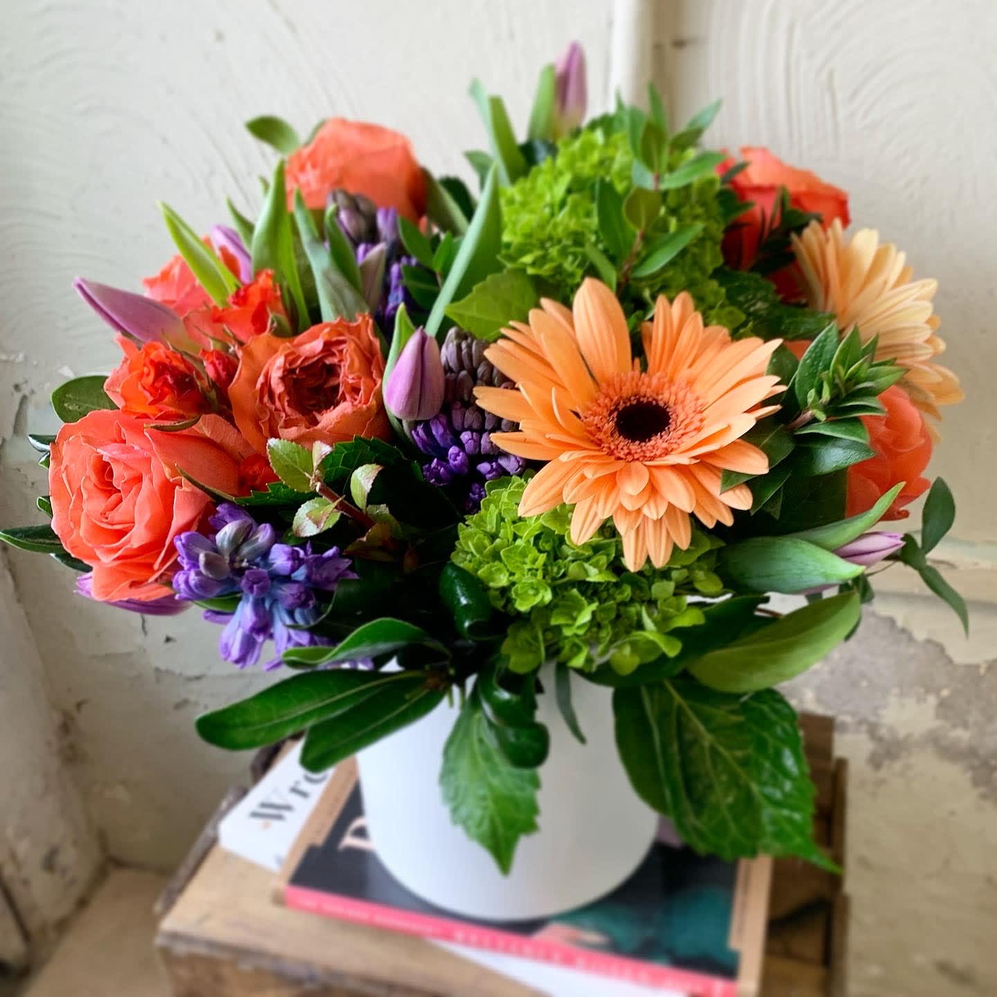 Coral Springs - Coral and Orange assorted blooms complimented with purple hues in 6x6 container