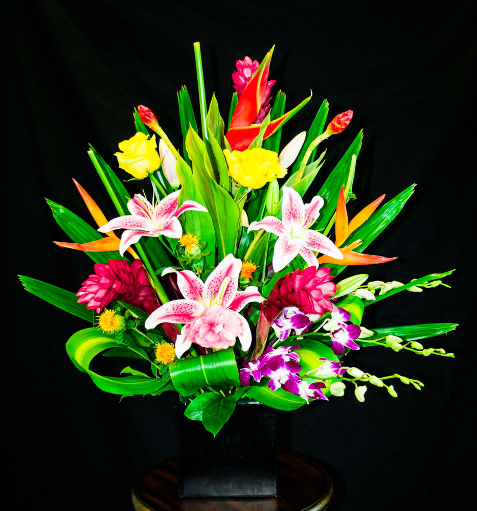 Exotic/Tropical Arrangement in Moreno Valley, CA | Garden ...