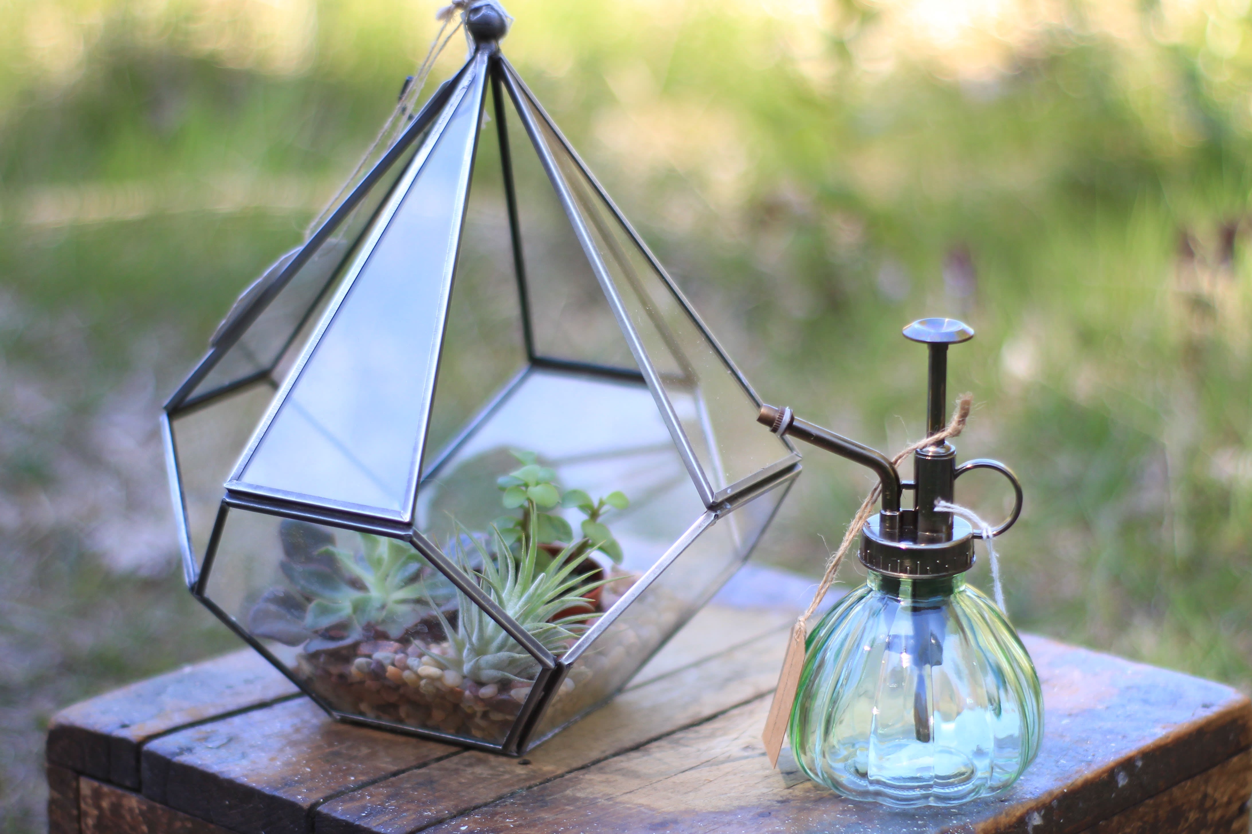 Geometric Hanging Terrarium. in Uxbridge, MA Lucille's Floral Designs