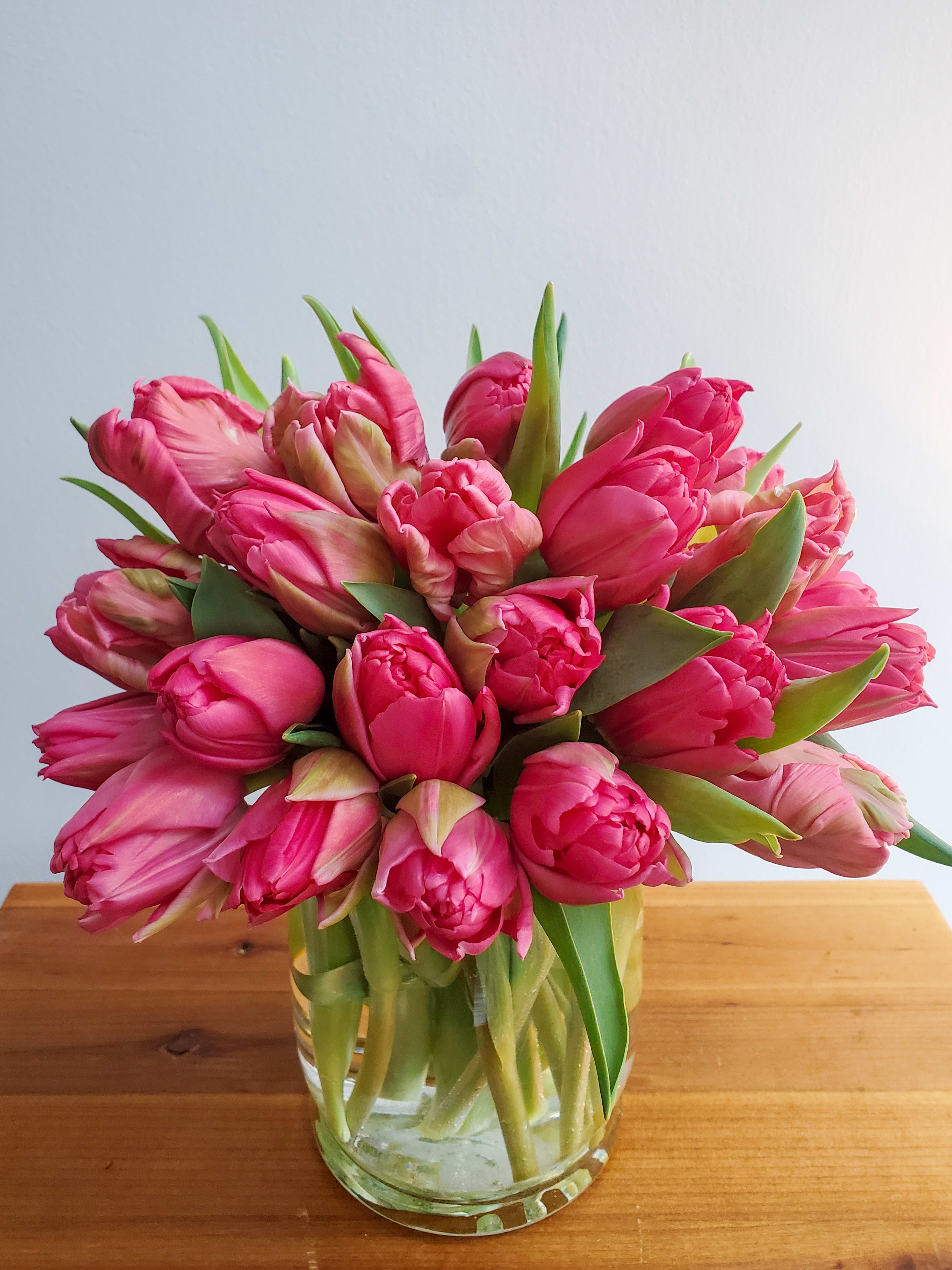Spring Tulip Bunch In Cambridge Ma Kendall Flower Shop No need to register, buy now! spring tulip bunch in cambridge ma kendall flower shop