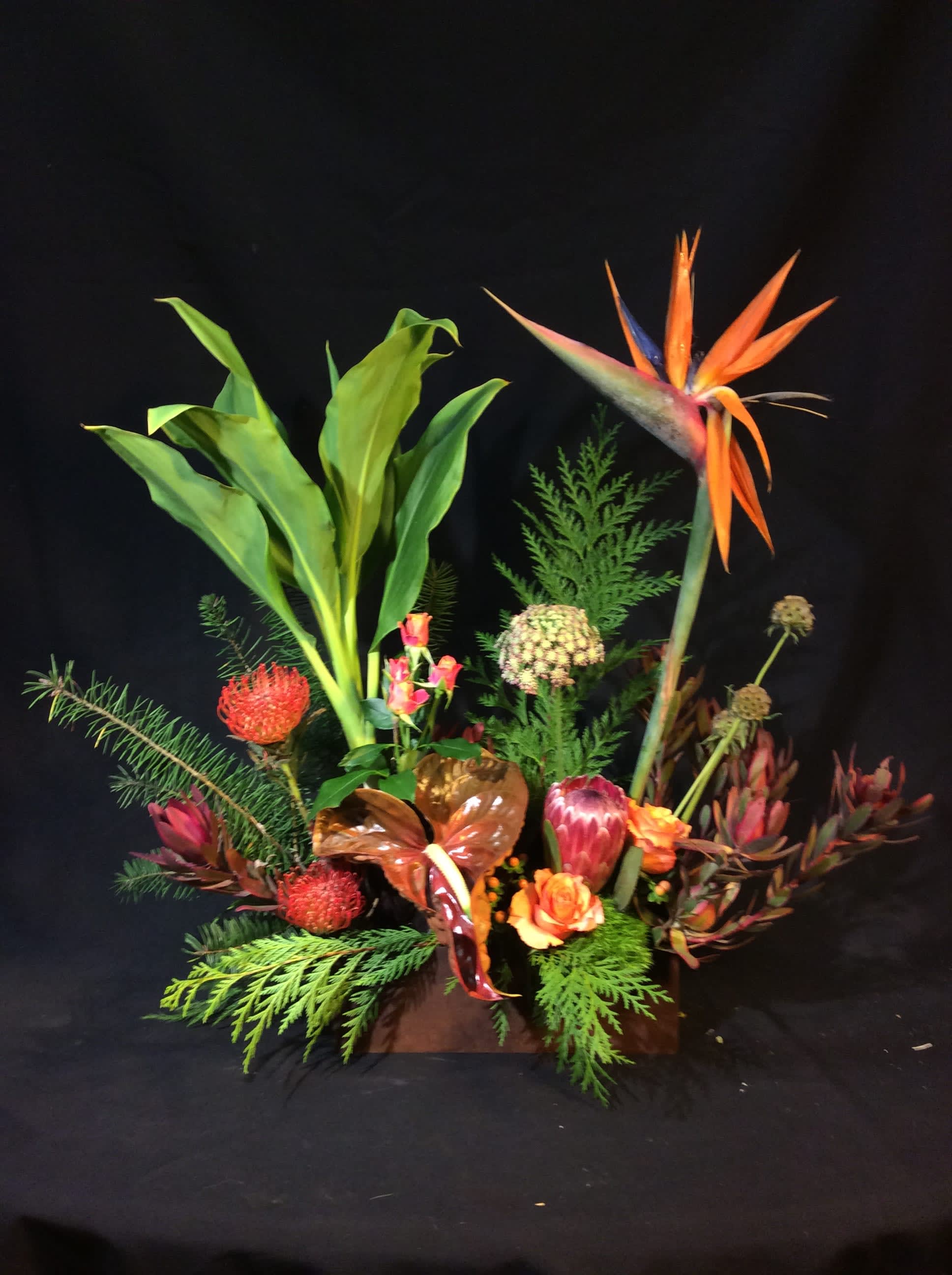 Tropical Window Box in Willits, CA | Willits Flowers-W/E Flowers