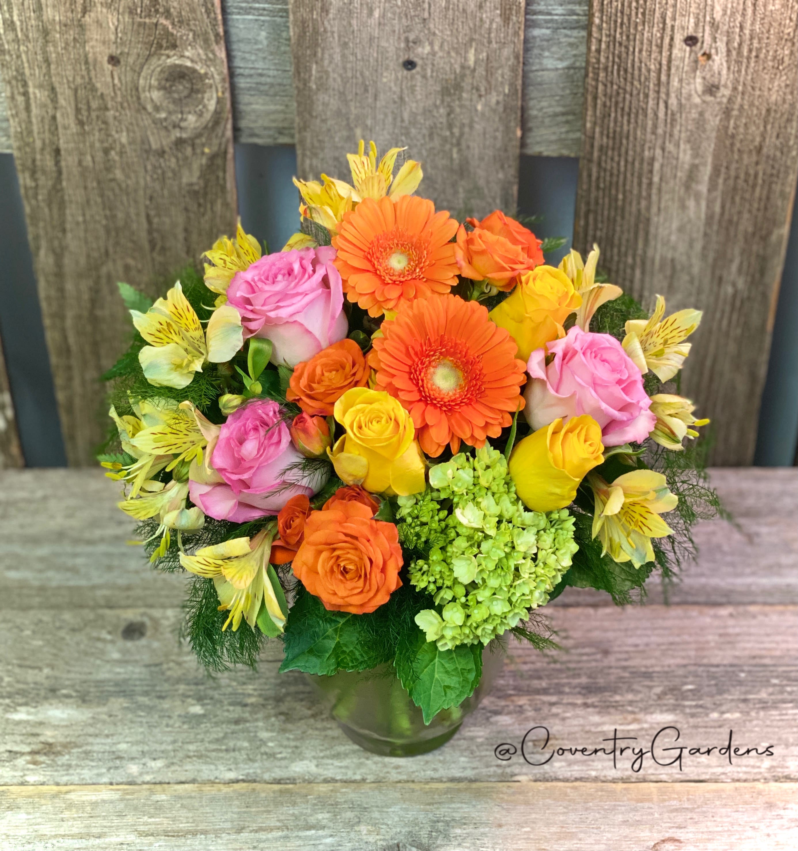 Blooming Bright Coventry Collection in Camas, WA Coventry Gardens of London