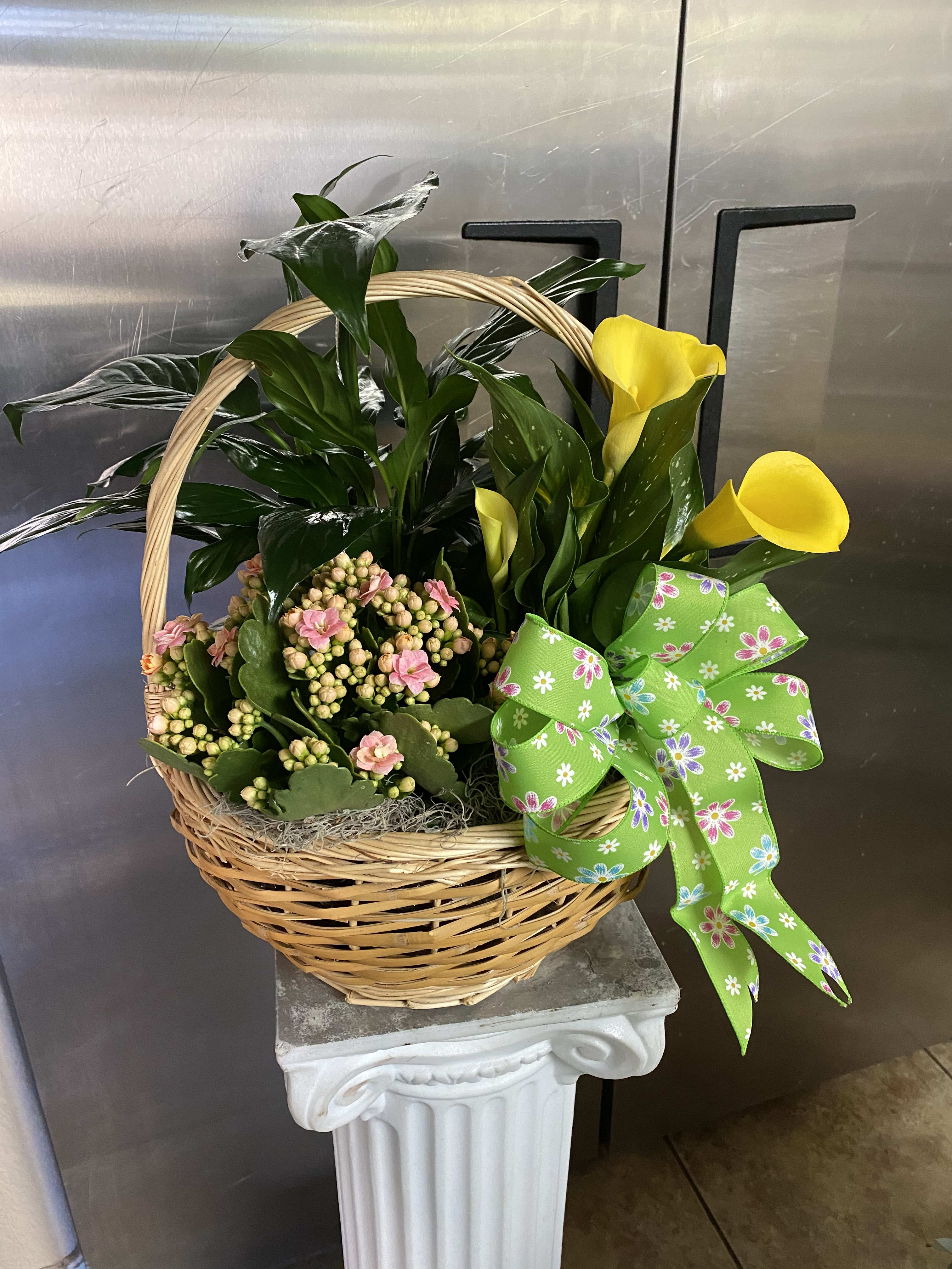 Planter basket in Phoenix, AZ Pam's Floral