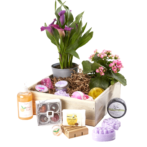Colorado Bath, Beauty, Chocolate and plants Colorado Bath, Beauty, Chocolate and plants - A nice selection of 9 Colorado made bath and spa products, a 4 pack of Colorado hand made chocolates and 2 seasonal designer choice blooming plants. Can be different from the image. The box used is made of Colorado Recycled Wood.