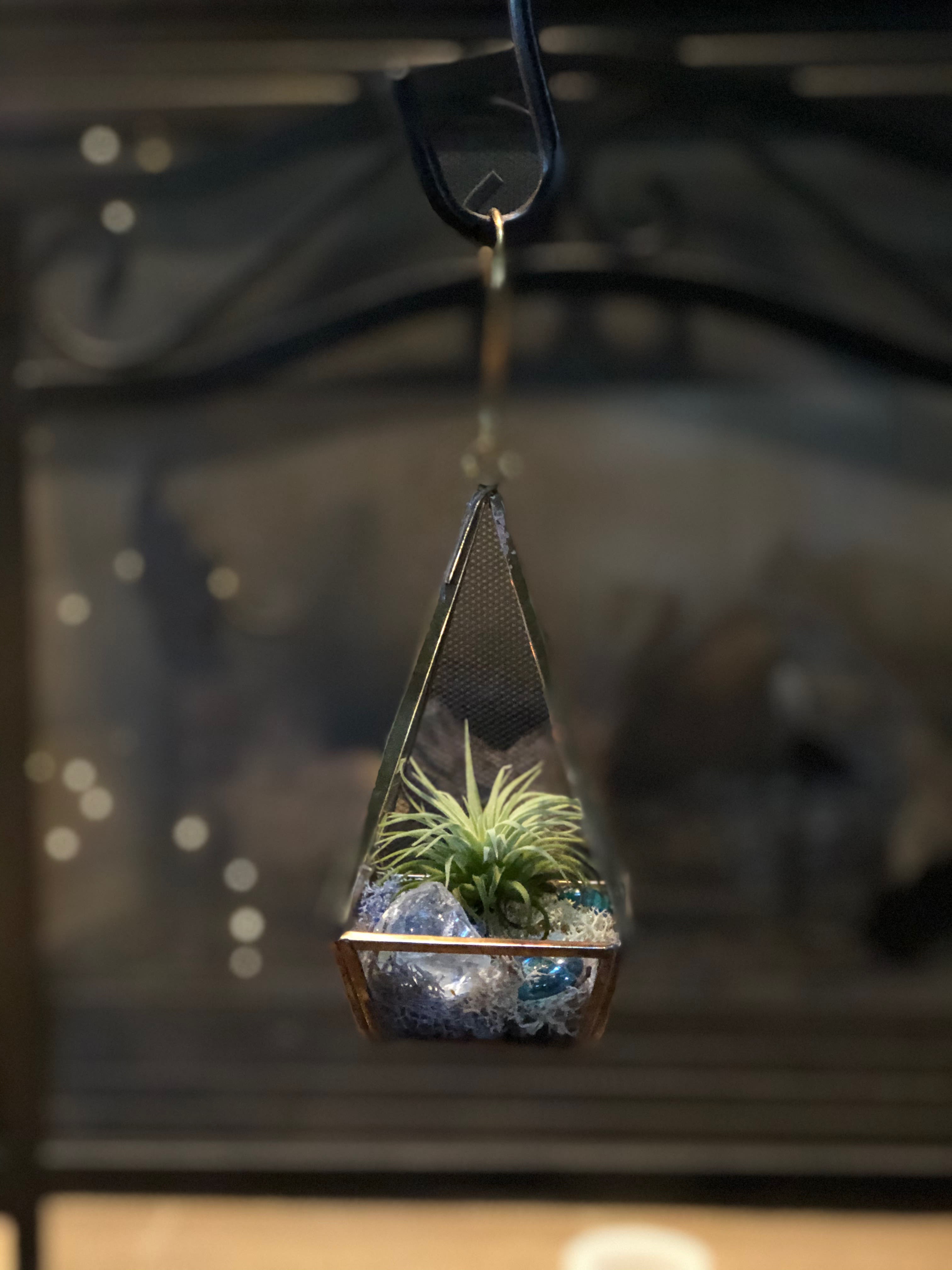 Tillandsia Tillandsia - Tillandsia is proper name for our commonly called "Air Plant". Easy to care for and long living. Just needs misting once per week. Allowing to dry out between waterings. We have placed one air plant inside this Prism shaped glass & metal container, along with natural & colored reindeer moss and a few glass stones for accent. Hanging hook included. Size" 3" X 3" and 6.25" tall. Larger size is in the Premium price.