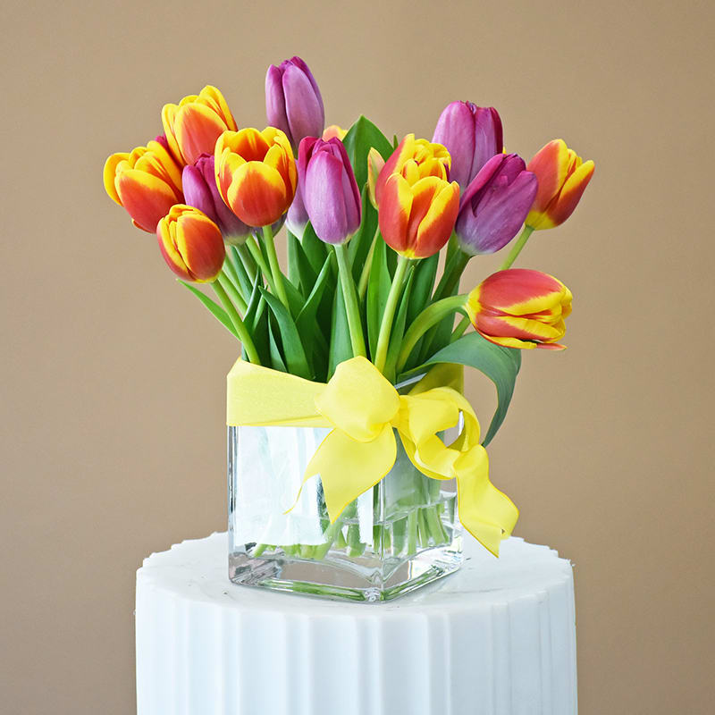 Chosen Tulips 16 Purple Red Yellow Tulips Arranged In Clear Glass Vase W603 In San Francisco Ca Fillmore Florist San Francisco